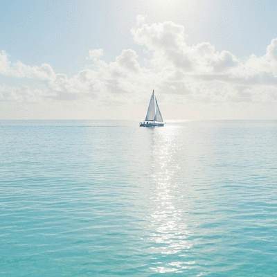 Person successfully tracking their eating window on a smartphone app, symbolizing practical implementation of TRE